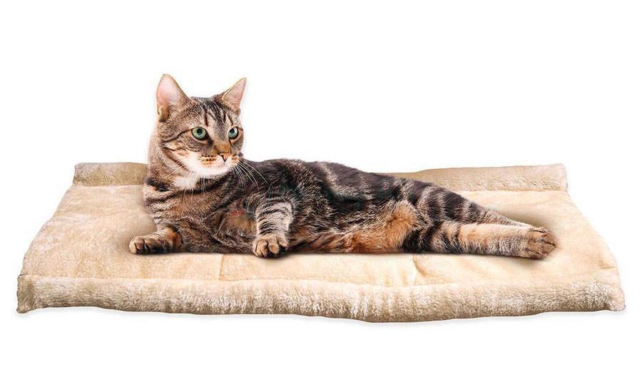 Лежаки для кошек