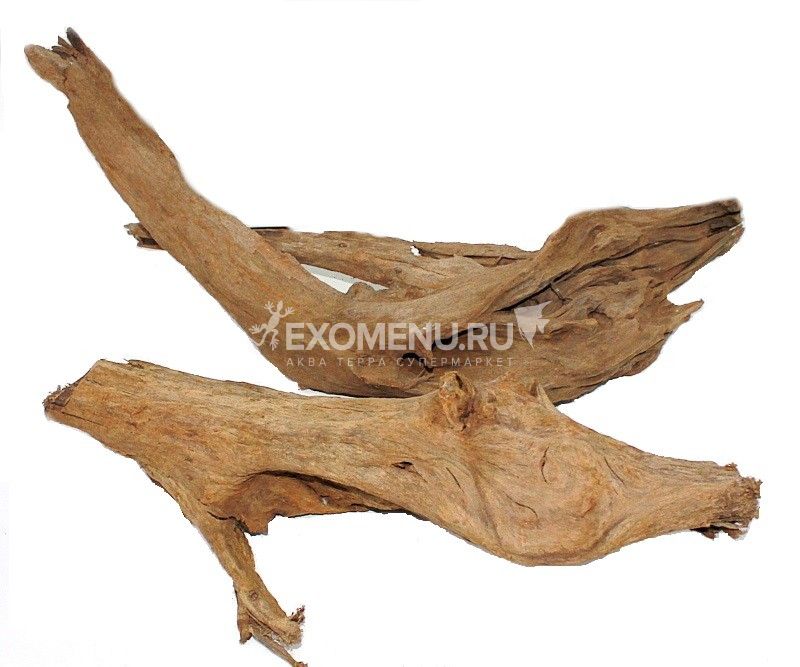 Коряга мангровая, размер XL (58-66 см.)