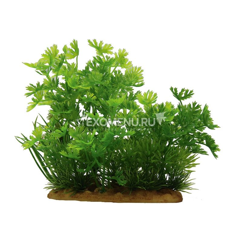 ArtUniq Ranunculus inundatus 15 - Искусственное растение Лютик водный, 15 см