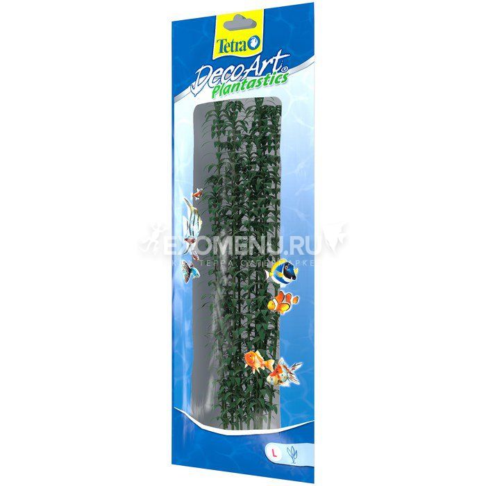 Растение аквариумное Hygrophila 3 (L)  30см.  607033