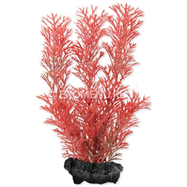 Растение аквариумное Red Foxtail (S) 15 см с утяжелителем