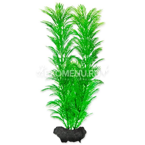 Растение аквариумное Green Cabomba (M) 23 см с утяжелителем