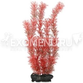 Растение аквариумное Red Foxtail (L) 30 см с утяжелителем