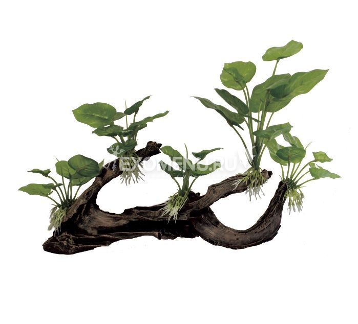 ArtUniq Mangrove Driftwood With Anubias M5 - Декоративная композиция из пластика 