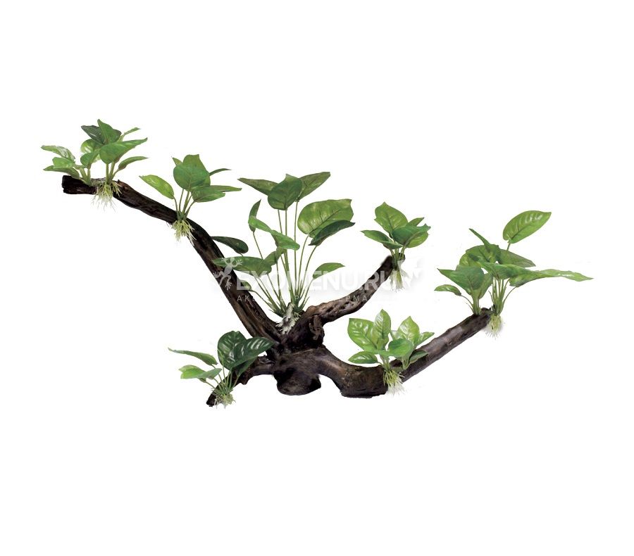 ArtUniq Branched Driftwood With Anubias XL - Декоративная композиция из пластика 