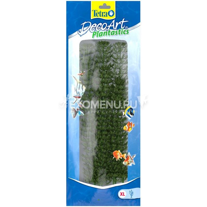 Растение аквариумное Ambulia  4 (XL) 38 см.