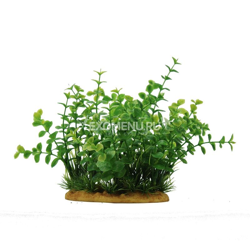 ArtUniq Bacopa 15 - Искусственное растение Бакопа, 15 см