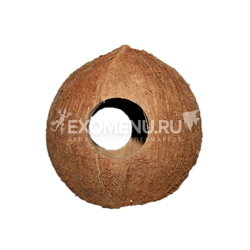 JBL Cocos Cava - 