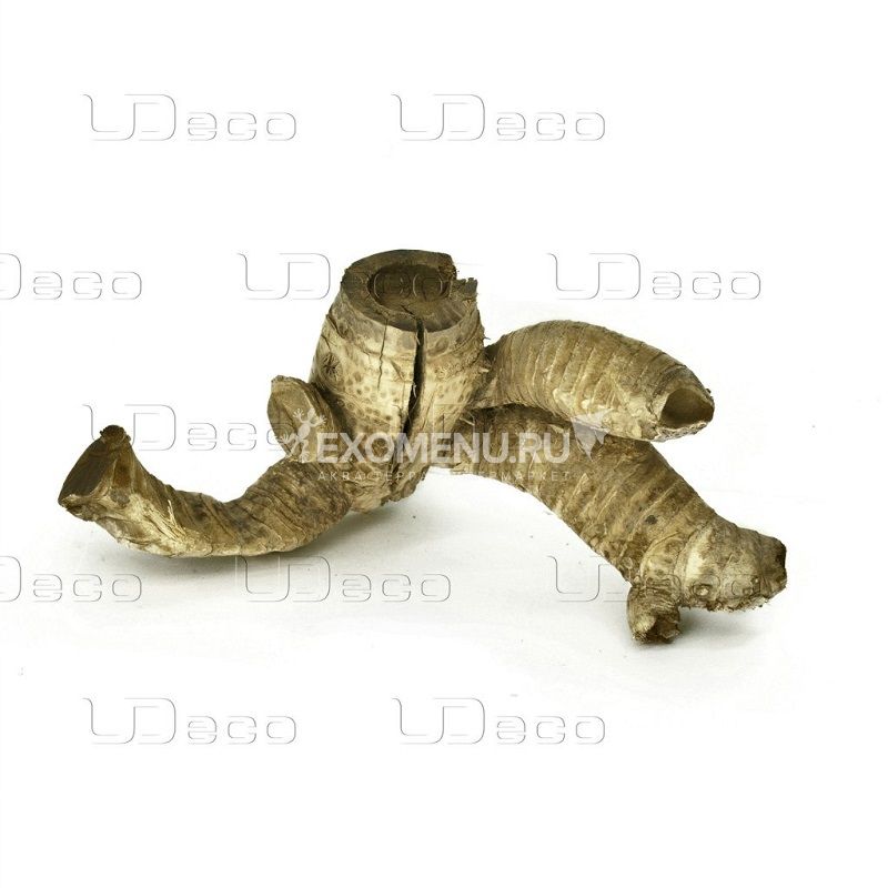 UDeco Bamboo root M - Натуральная коряга 
