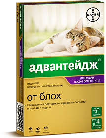 Bayer Адвантейдж 80 К для кошек больше 4 кг (4 пипетки х 0,8 мл)