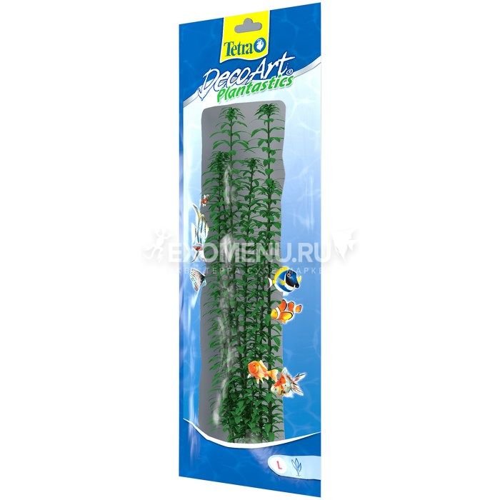 Растение аквариумное Anacharis 3 (L)  30см.  607002