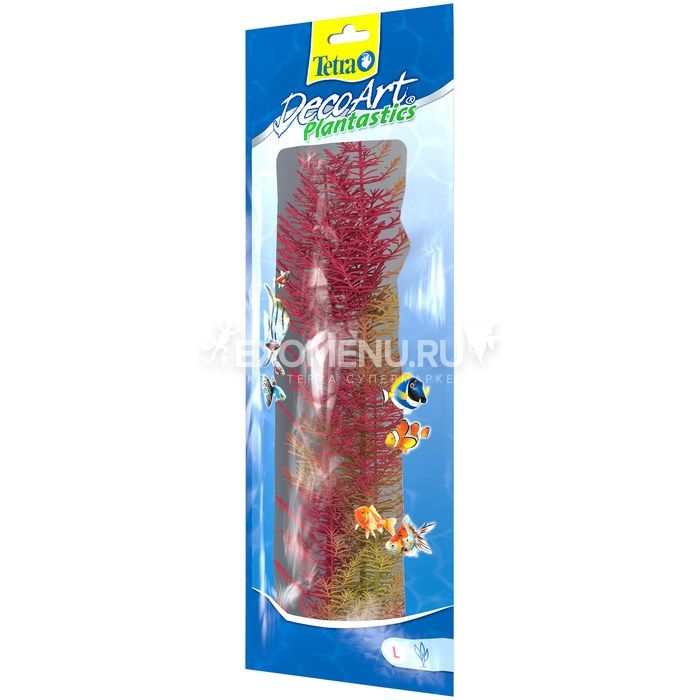 Растение аквариумное Red Foxtail3 (L)