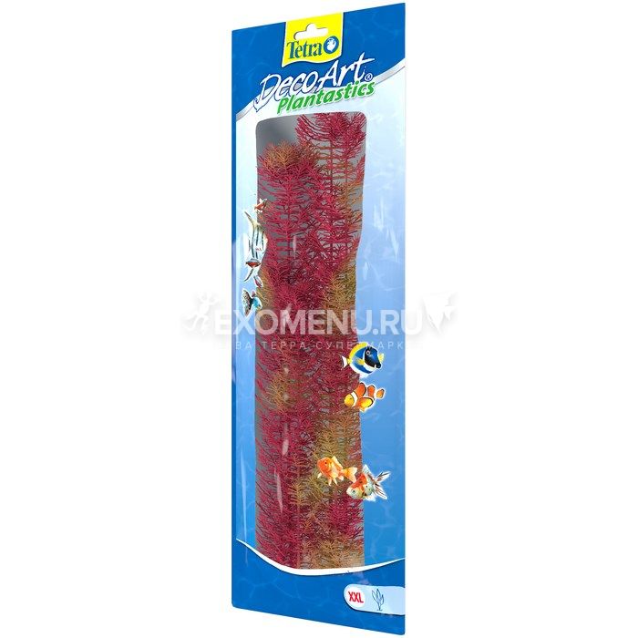 Растение аквариумное Red Foxtail 5 (XXL)  46см