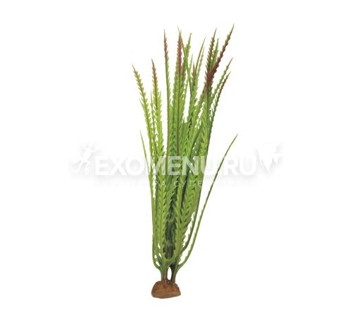 ArtUniq Hygrophila pinnatifida 19 - Искусственное растение Гигрофила перистонадрезанная, 6x6x19 см