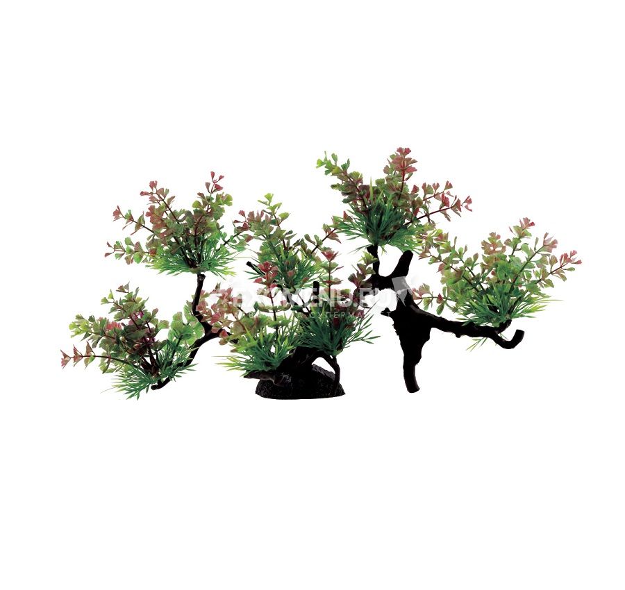 ArtUniq Hydrocotyle tripartita on bonsai 22 - Композиция из искусственных растений на бонсае Щито...