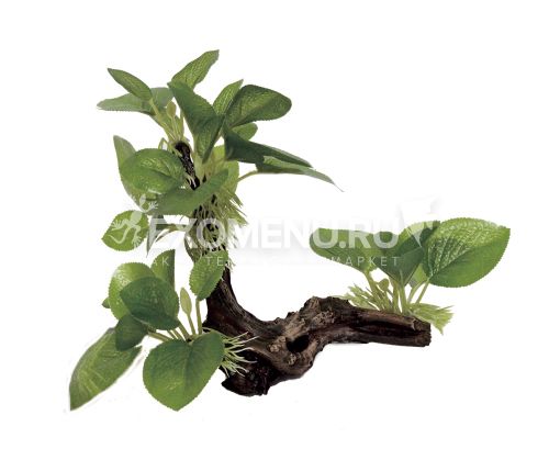 ArtUniq Driftwood With Anubias S1 - Декоративная композиция из пластика 