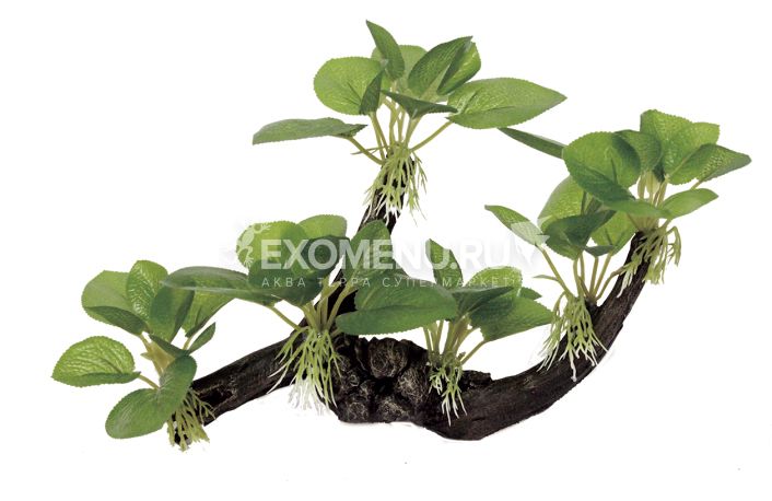 ArtUniq Driftwood With Anubias M1 - Декоративная композиция из пластика 