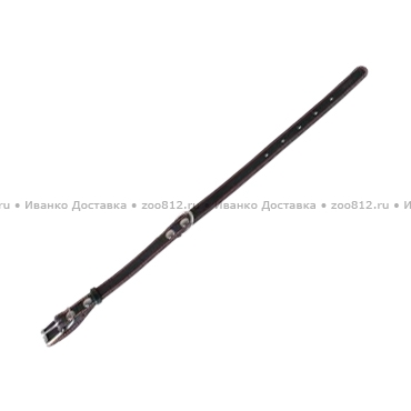 Collar одинарный ошейник чёрного или коричневого цвета для собак