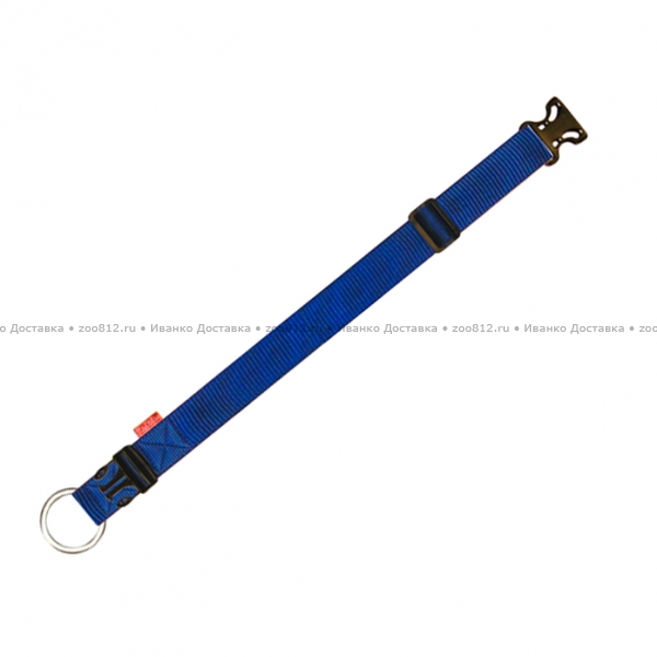 Collar DOG Extreme регулируемый нейлоновый ошейник синего цвета для собак