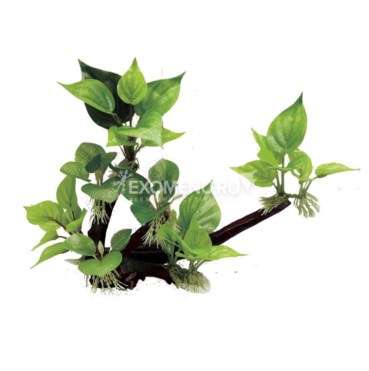 ArtUniq Driftwood With Anubias L2 - Декоративная композиция из пластика 