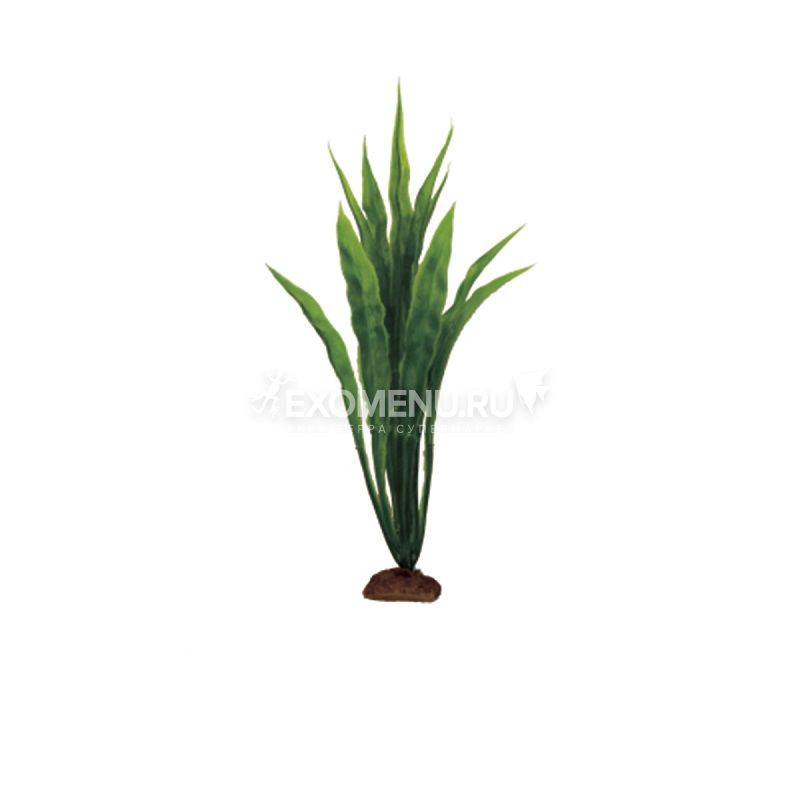 ArtUniq Echinodorus bolivianos Set 6x12 - Набор искусственных растений Эхинодорус боливийский, 12...