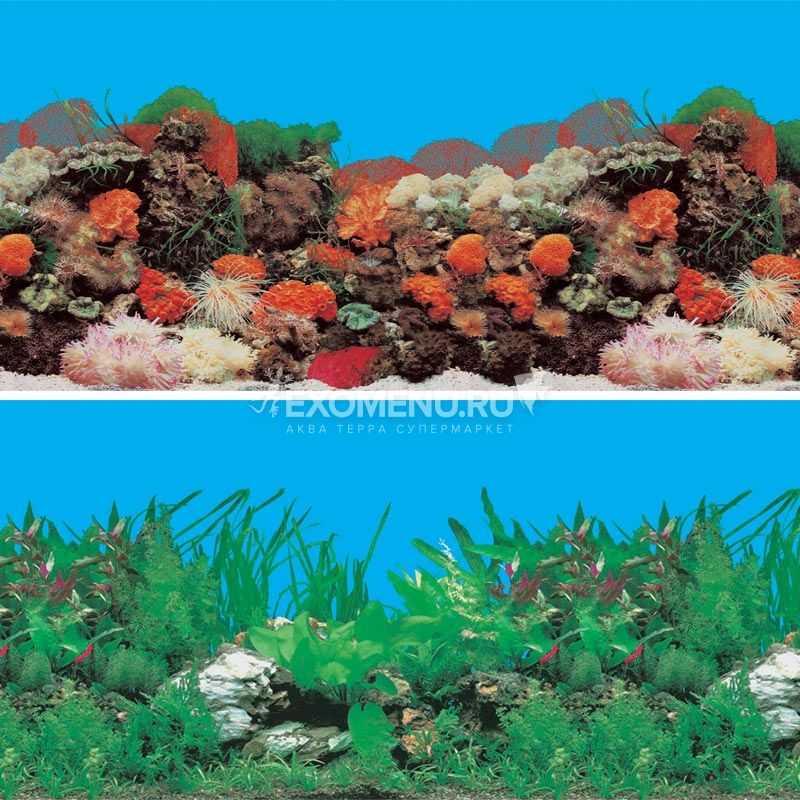 Фон 9001/9003, 0,6*15м Красное море/Речная долина