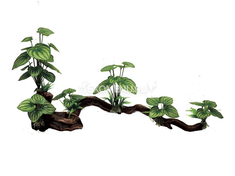 ArtUniq Mangrove Driftwood With Anubias XXL1 - Декоративная композиция из пластика 