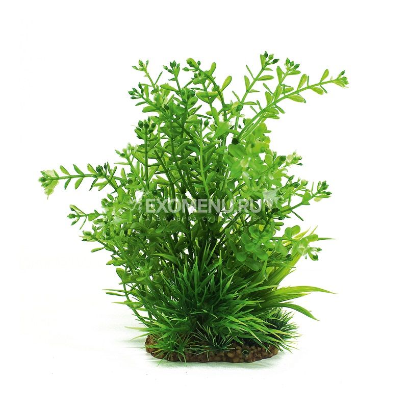 ArtUniq Rotala mix 20 - Композиция из искусственных растений Ротала, 20 см