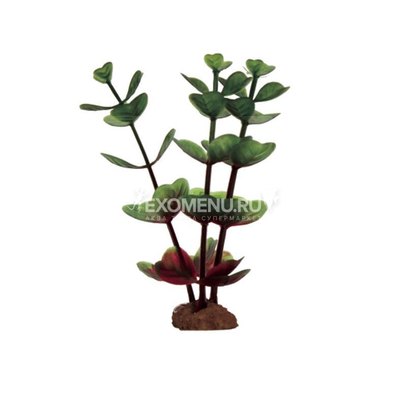 ArtUniq Bacopa red-green Set 6x10 - Набор искусственных растений Бакопа крано-зеленая, 10 см, 6 шт