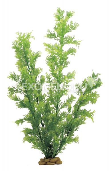 ArtUniq Ceratopteris thalictroides 60 - Искусственное растение Папоротник индийский, 60 см