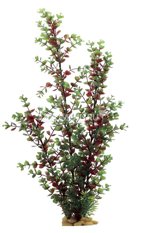 ArtUniq Bacopa red-green 60 - Искусственное растение Бакопа красно-зеленая, 60 см
