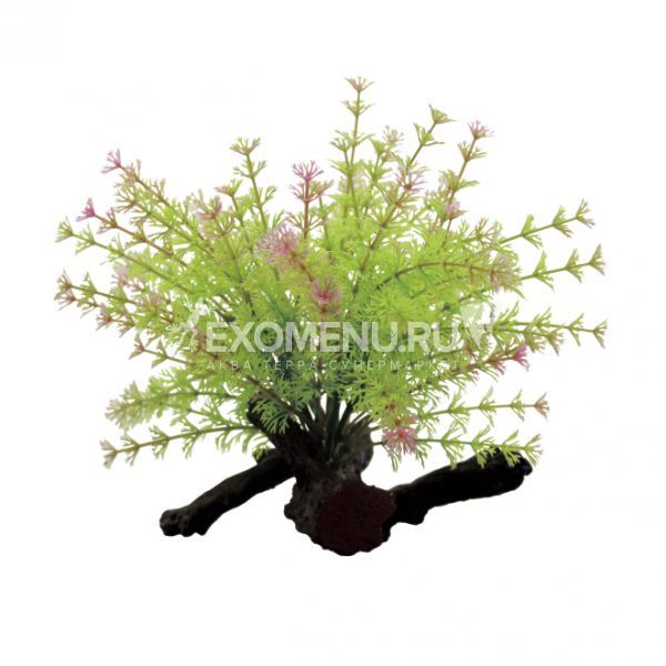 ArtUniq Limnophila on driftwood 17 - Композиция из искусственных растений на коряге Лимнофила, 17...