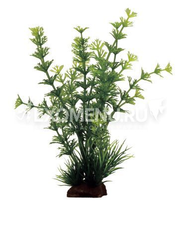 ArtUniq Hygrophila pinnatifida 22 - Искусственное растение Гигрофила перистонадрезанная, 16x13x22 см