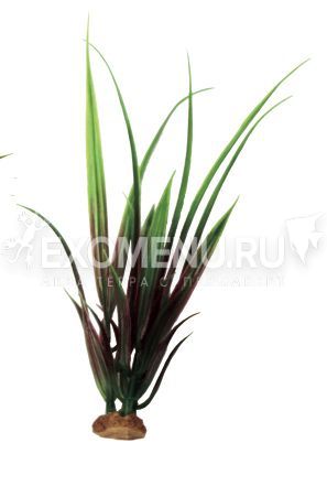 ArtUniq Acorus red-green 19 - Искусственное растение Акорус красно-зеленый, 6x6x19 см