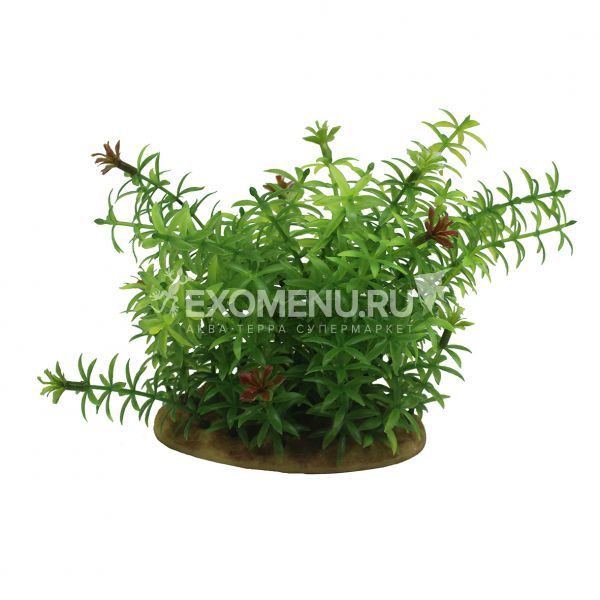 ArtUniq Elodea 15 - Искусственное растение Элодея, 15 см