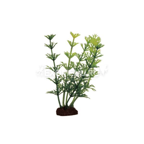 ArtUniq Cabomba Set 6x10 - Набор искусственных растений Кабомба, 10 см, 6 шт