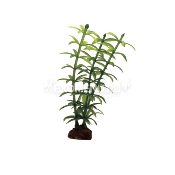 ArtUniq Elodea Set 6x10 - Набор искусственных растений Элодея, 10 см, 6 шт