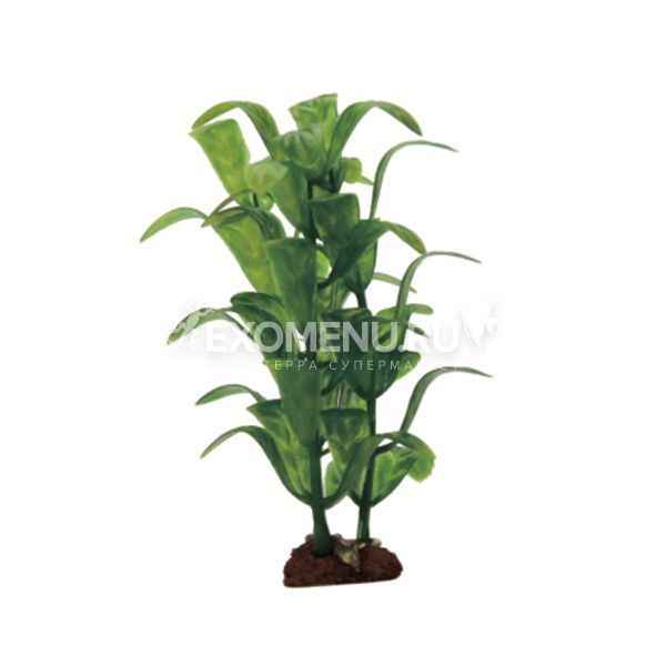 ArtUniq Staurogyne Set 6x10 - Набор искусственных растений Стаурогин, 10 см, 6 шт