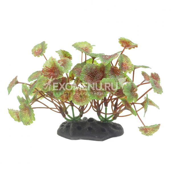 ArtUniq Hydrocotyle red-green 10-12 - Искусственное растение Щитолистник красно-зеленый, 10-12 см