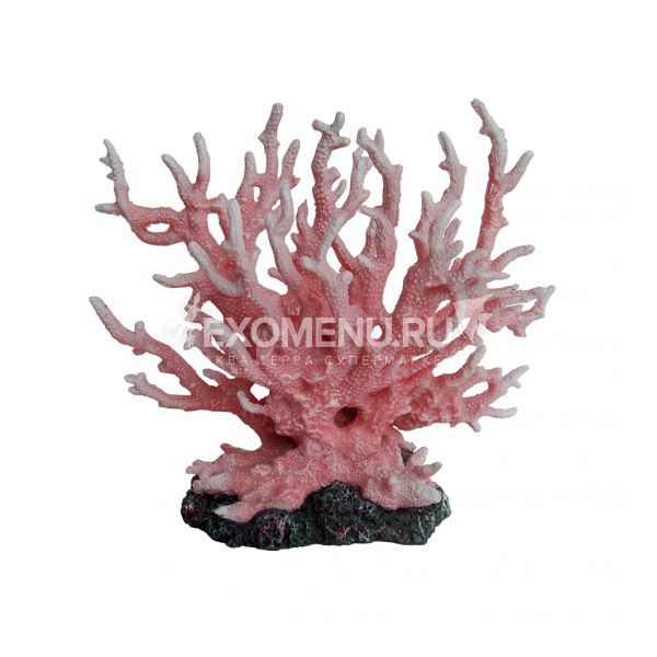 ArtUniq Pink Branching Coral - Декоративная композиция 