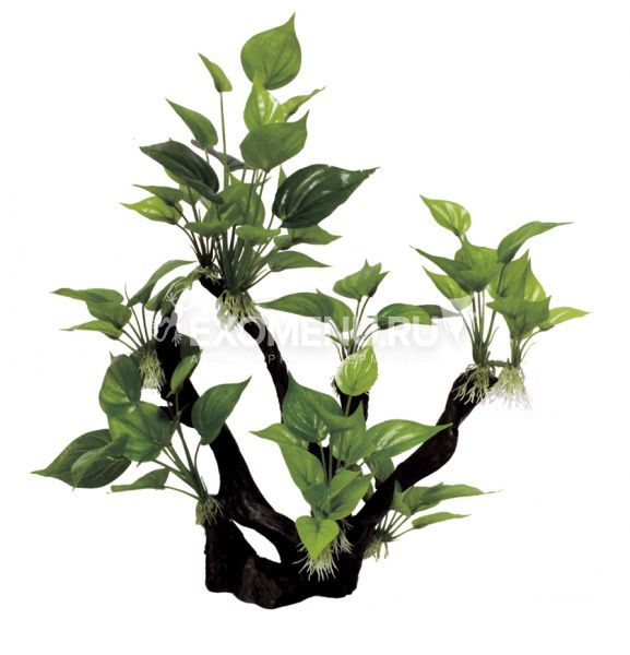 ArtUniq Branched Driftwood With Anubias M3 - Декоративная композиция из пластика 