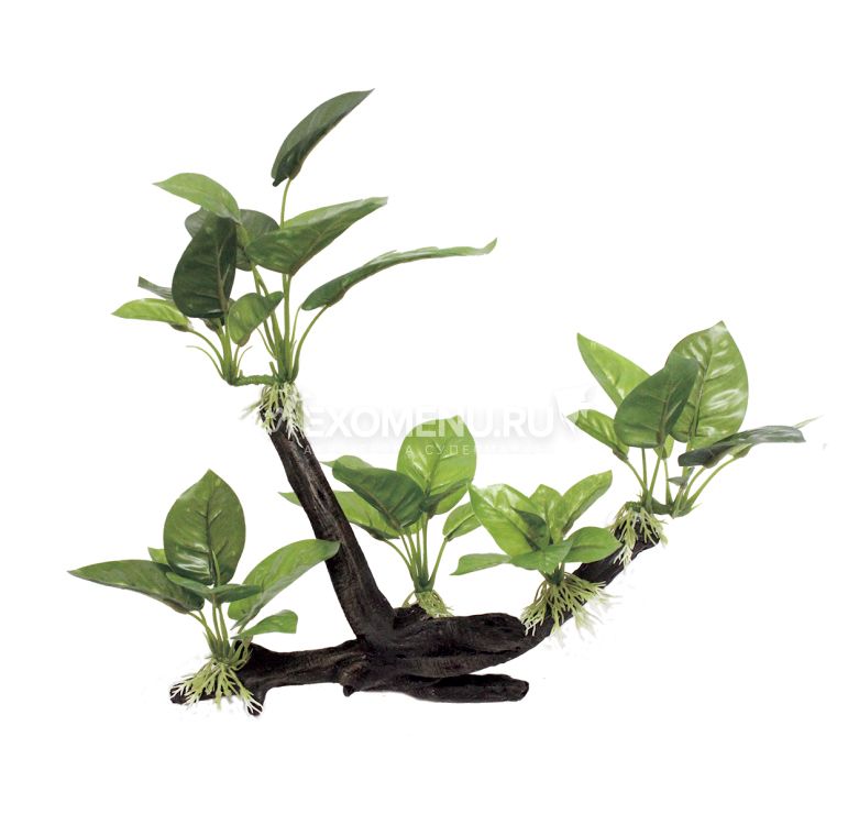 ArtUniq Branched Driftwood With Anubias lanceolata M2 - Декоративная композиция из пластика 
