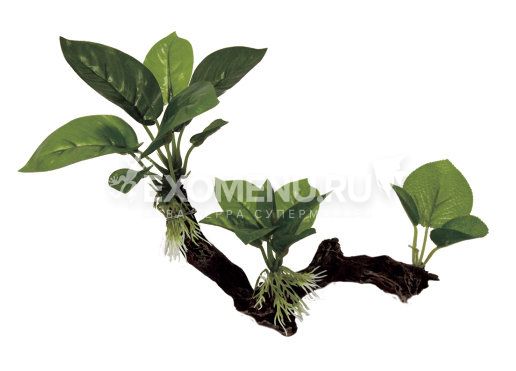 ArtUniq Driftwood With Anubias S2 - Декоративная композиция из пластика 