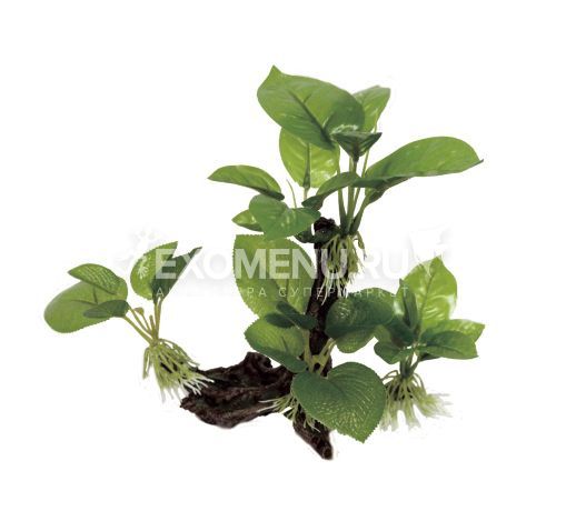ArtUniq Mangrove Driftwood With Anubias S1 - Декоративная композиция из пластика 