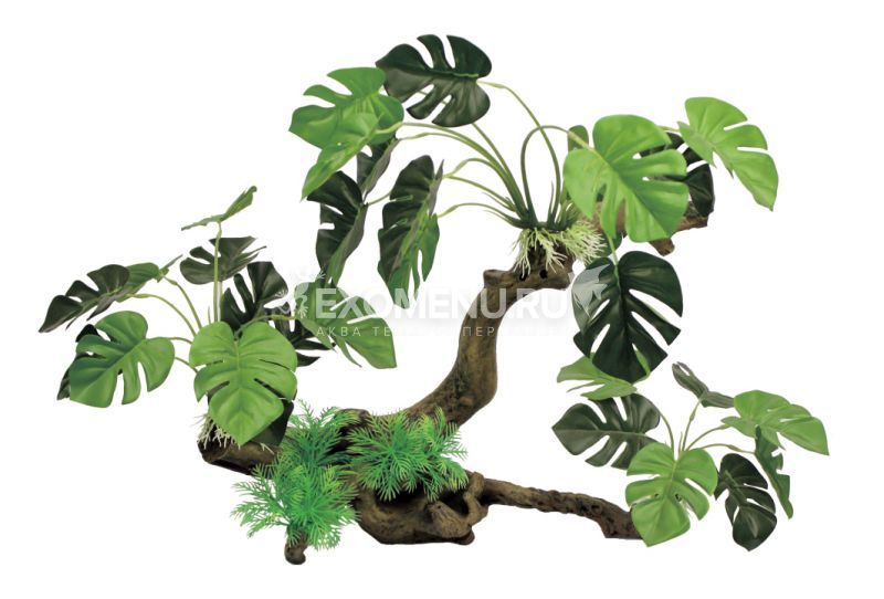 ArtUniq Branched Driftwood With Monstera XL - Декоративная композиция из пластика 