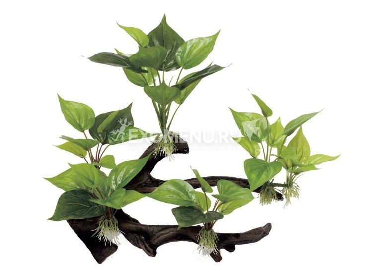 ArtUniq Branched Driftwood With Anubias M4 - Декоративная композиция из пластика 