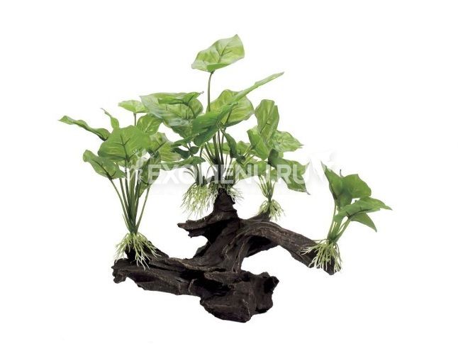 ArtUniq Mangrove Driftwood With Anubias M1 - Декоративная композиция из пластика 