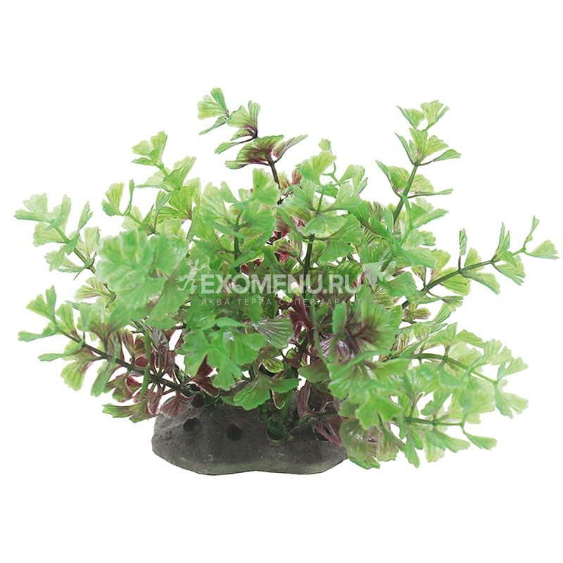 ArtUniq Caryota 10-12 - Искусственное растение Кариота, 10-12 см