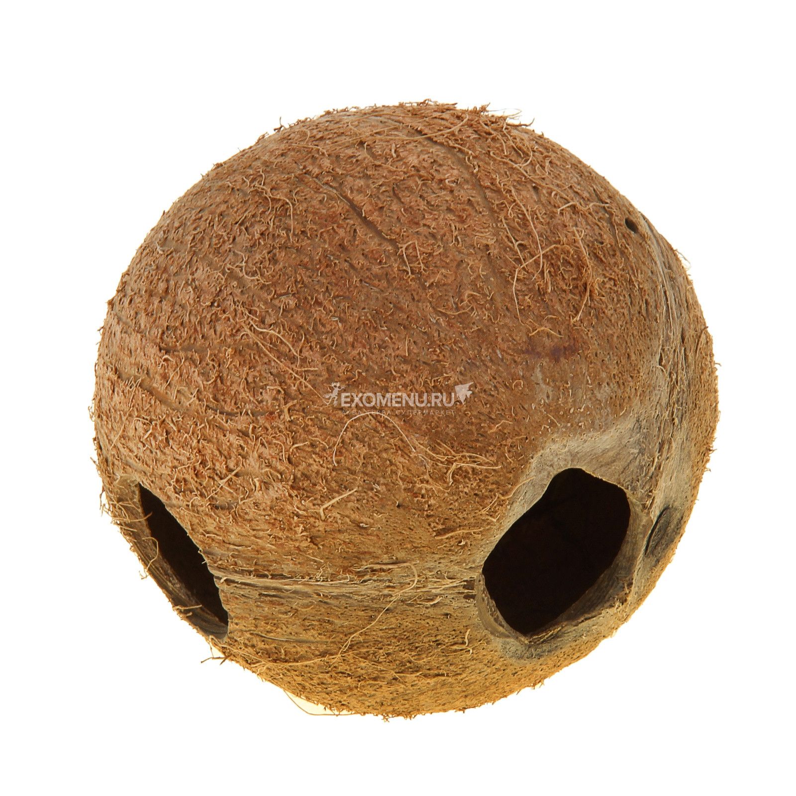 JBL Cocos Cava - 
