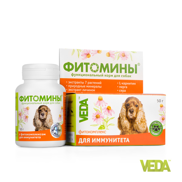 ФИТОМИНЫ для иммунитета для собак 100 табл